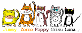 12jimmy-zorro-poppy-luna-grisu-klein-900x360