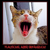 rpca0001-750x750katze-flauschig