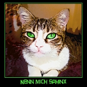 rpca0002-750x750katze-sphinx