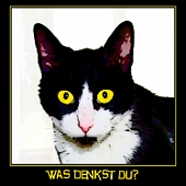 rpca0003-750x750katze-wasdenkstdu