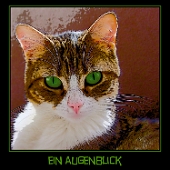 rpca0008-750x750katze-augenblickcomic